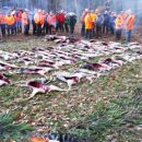Jagd-Erlebnis 2018