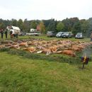 www.jagd-erlebnis.de