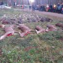 www.jagd-erlebnis.de